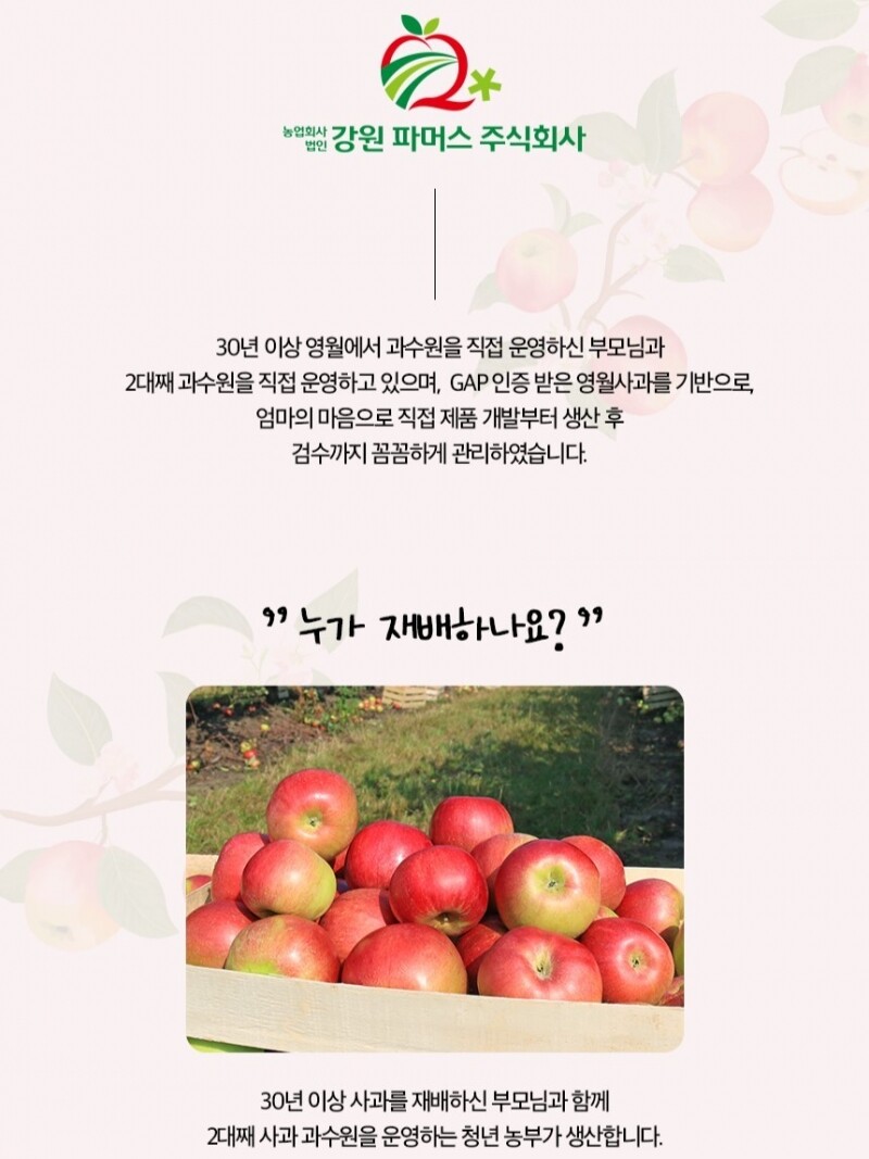 농업회사법인 강원파머스(주),햇살닮은 영월 사과즙[GAP,NFC] 110ml X 30개입, 50개입