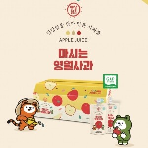 마시는 영월사과 원물 100% NFC착즙 사과즙